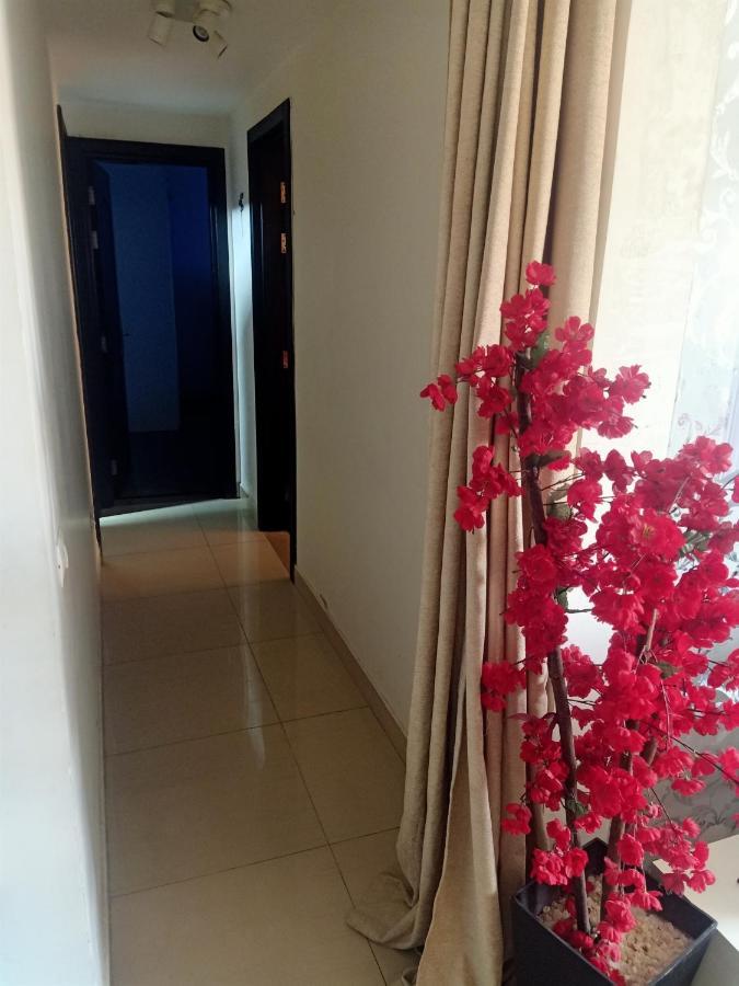 Fully Furnished Apartment At Ocean Blue Compound Kairó Kültér fotó